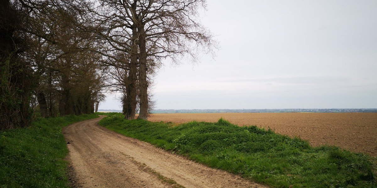 We continued inland today following the Canadians and seeing what the Sherwood Rangers were up to. Another great day of walking the ground. <a href="/James1940/">James Holland</a> <a href="/WeHaveWaysPod/">WW2 Pod: We Have Ways of Making You Talk</a> <a href="/WW2TV/">WW2TV Paul Woodadge</a>