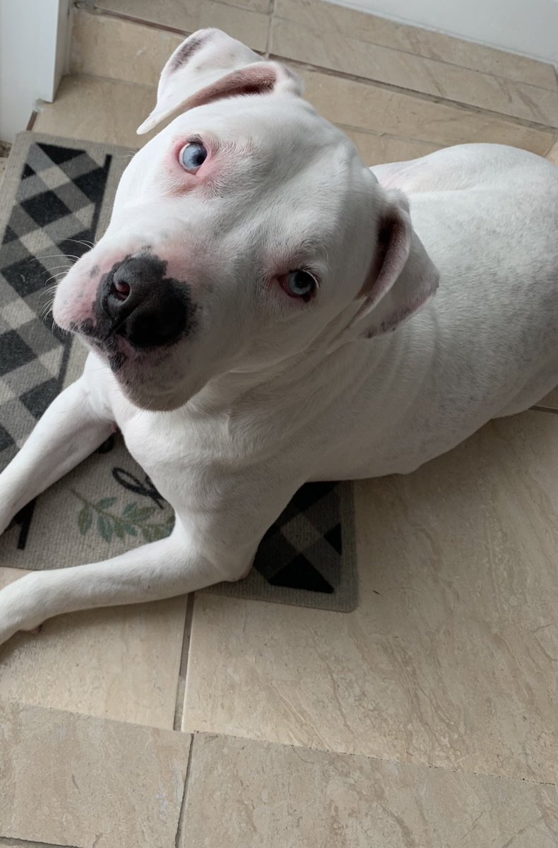 nanaa_______'s tweet photo. Look at my handsome son 😩💙literally obsessed https://t.co/owSYTWHSqt