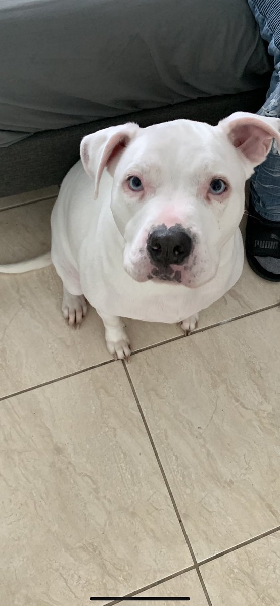 nanaa_______'s tweet photo. Look at my handsome son 😩💙literally obsessed https://t.co/owSYTWHSqt