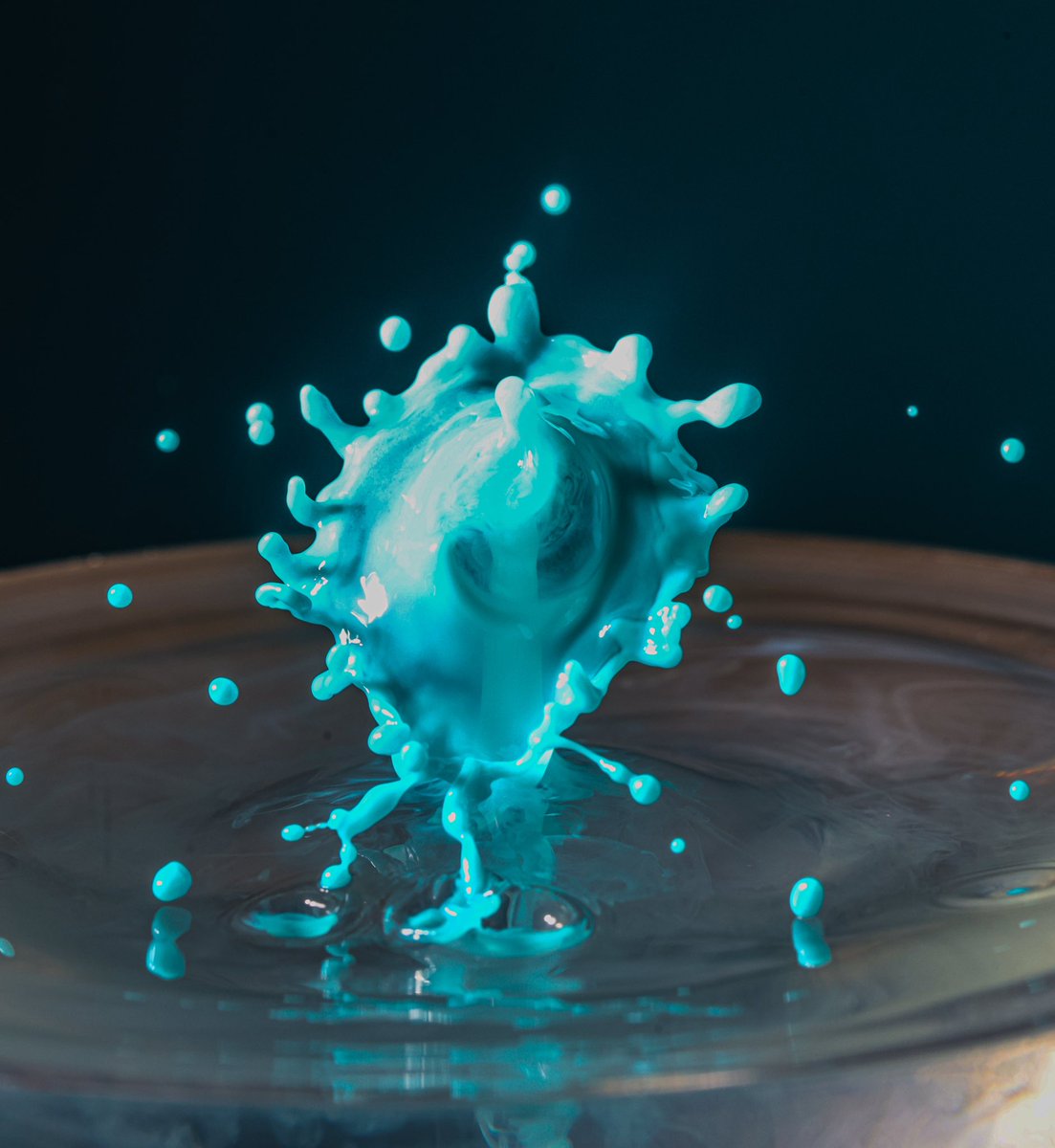 LittleArtPhotag artist tweet media