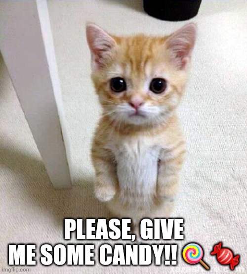 Da_The_Scorpio's tweet photo. Everybody likes candy! 🔥🔥💚💚🚀🚀🚀🍭🍬          

#candyland #NeoCandy #candyclash #CANDY #NEON3 #NEO #GAS @neocandy https://t.co/brpwznMW46