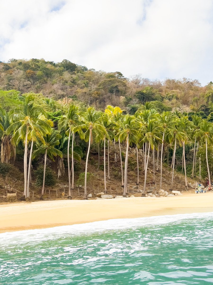 🌴🌴🌴🌴🌴🌴🌴🌴🌴🌴🌴🌴🌴🌴🌴🌴🌴🌴🌴🌴🌴🌴🌴🌴🌴🌴🌴🌴🌴🌴🌴🌴🌴🌴 𝗚 𝗠 🌴🌴🌴🌴🌴🌴🌴🌴🌴🌴🌴🌴🌴🌴🌴🌴🌴🌴🌴🌴🌴🌴🌴🌴🌴🌴🌴🌴🌴🌴🌴🌴🌴🌴