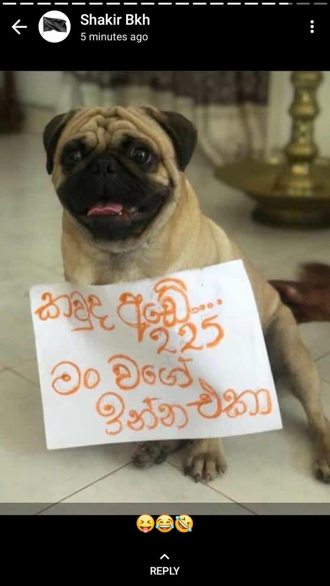Almsajithlk's tweet photo. @AzzamAmeen @NewsWireLK @NewsWireLK https://t.co/gWqs92XUNm