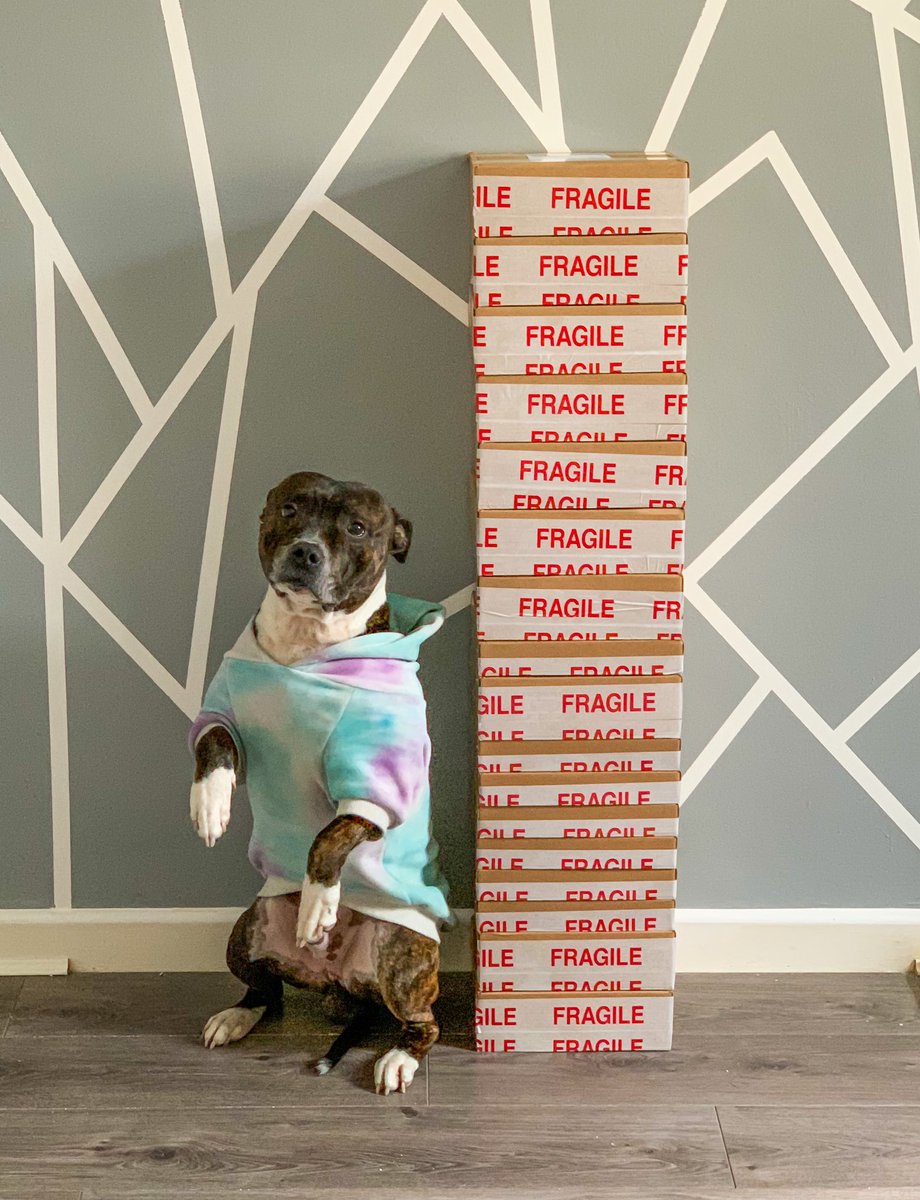 Loki is so done with being a part of my stack photos 😂

He’s paid in treats of course 😌

#dogsoftwitter #twitterdogcommunity #smallbusiness