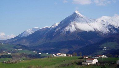 Reoptimize Systems tweet media