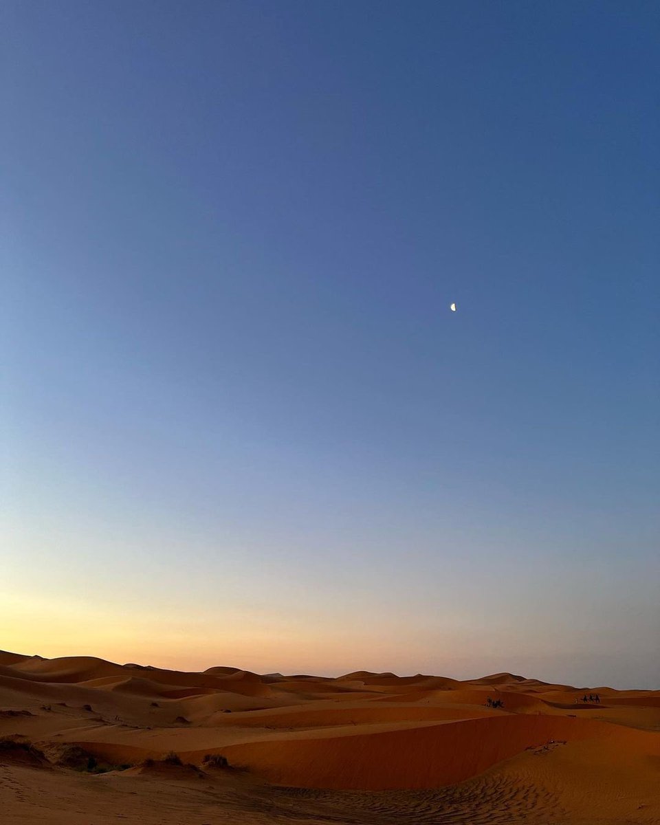 baban1si's tweet photo. 3. "It was in the desert. It was already April twilight, but the sand was hot, the sandy wind beat on my legs, and I felt good. The dunes were high and I climbed each of them, once again rising to a height, he again appeared in front of me, on this day I did not expect him." https://t.co/WzGIgJsBE4