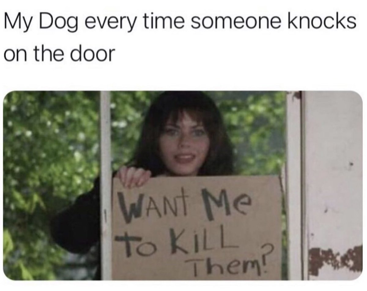 Men's Humor tweet media