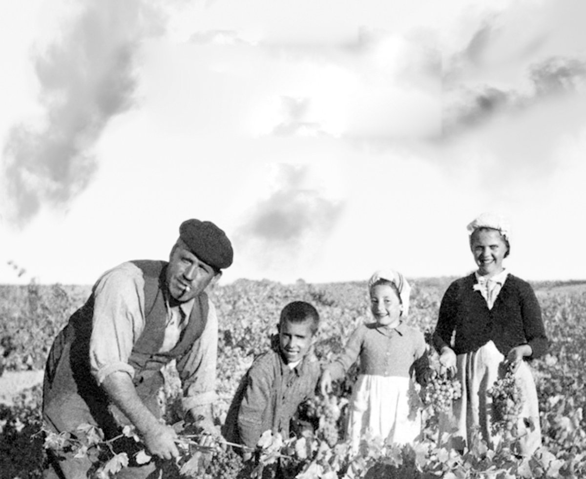 emilio_moro's tweet photo. Un legado histórico es nuestra manera de entender el vino 🍷

#EmilioMoro #RiberadelDuero #wine #vino #WineLovers https://t.co/8NKtQnU2p0