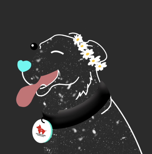 SU-PAW CUTE!
I'm an official owner of a <a href="/straydogscenter/">Stray Dogs Center UAE 🐕🐶</a> NFT! 

So proud to be supporting such a wonderful dog rescue shelter in Dubai! This group is incredible!

You can purchase one too:
bit.ly/3J9iiJv