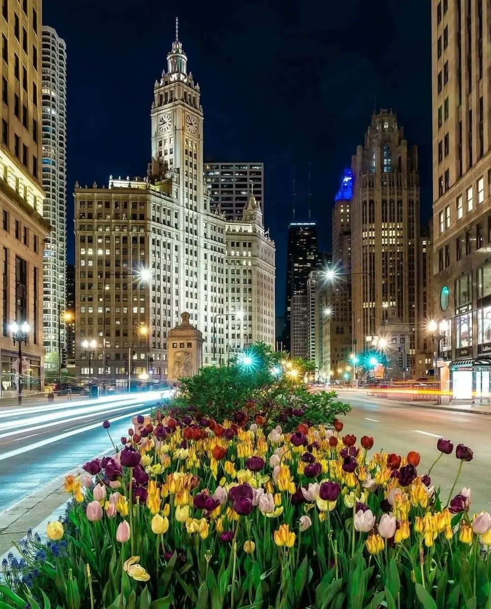 'Tis the season 🌷
📸: photobyfarad | IG