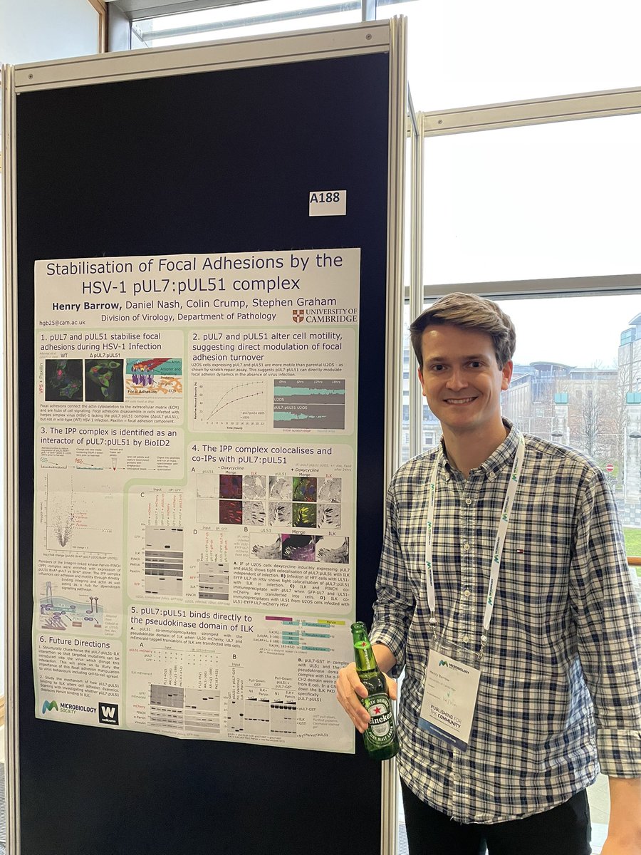 Come and see @HenryBarrow’s poster at @MicrobioSoc on how HSV-1 interacts with focal adhesions #Microbio22