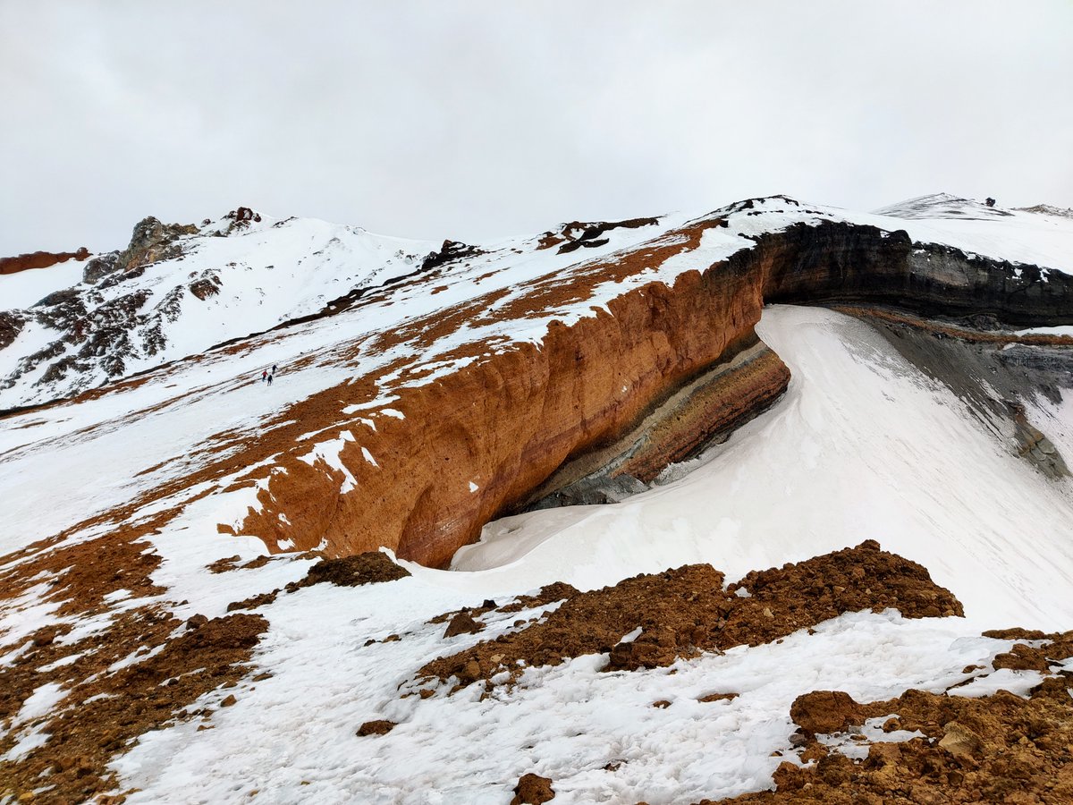 Natasha Spottiswoode tweet media