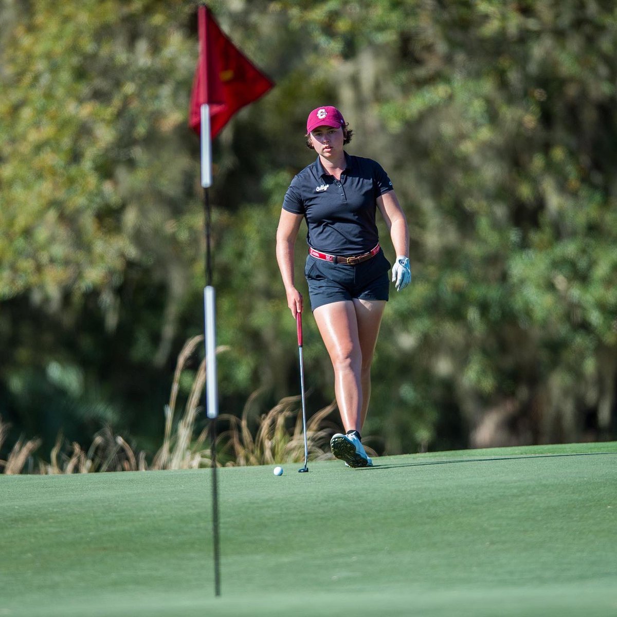 CofCWomensGolf's tweet photo. The Cougs are off to a great start at the Ironwood Invitational at T-2 as a team &amp; MK Talledo and Othilie Lied T-5 individually at -1. 

36 holes of golf today in Greenville!

Live Results: https://t.co/s9M1x02Du8

#comeCus 🌴⛳️ https://t.co/CG7e0MserE