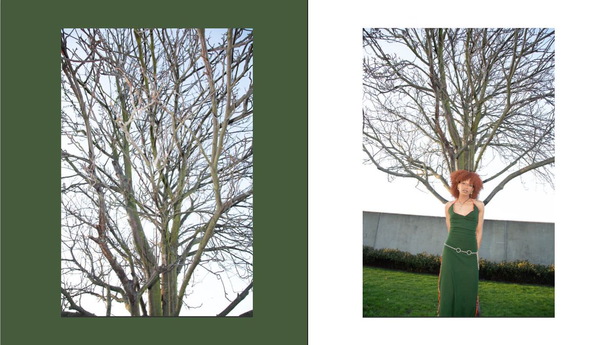 pastforward_22's tweet photo. @venturarchive “trying out different layouts for my exhibition magazine” 

Which one is your favourite?🌳 https://t.co/2Ym1VK8QPZ