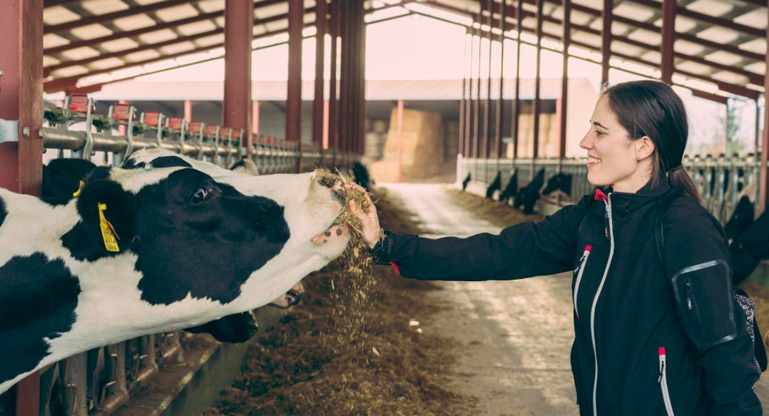 Food Costa Brava Girona tweet media