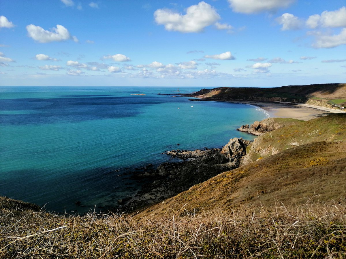 MicroDoc10's tweet photo. Laquelle choisir ?
Une petite respiration au milieu d'une actualité lourde. 
📸 Personal ce week-end
#NaturePhotography #nature #landscapephotography #landscape #landscapelovers #naturelovers #manche #normandie https://t.co/1BBENFG3FH
