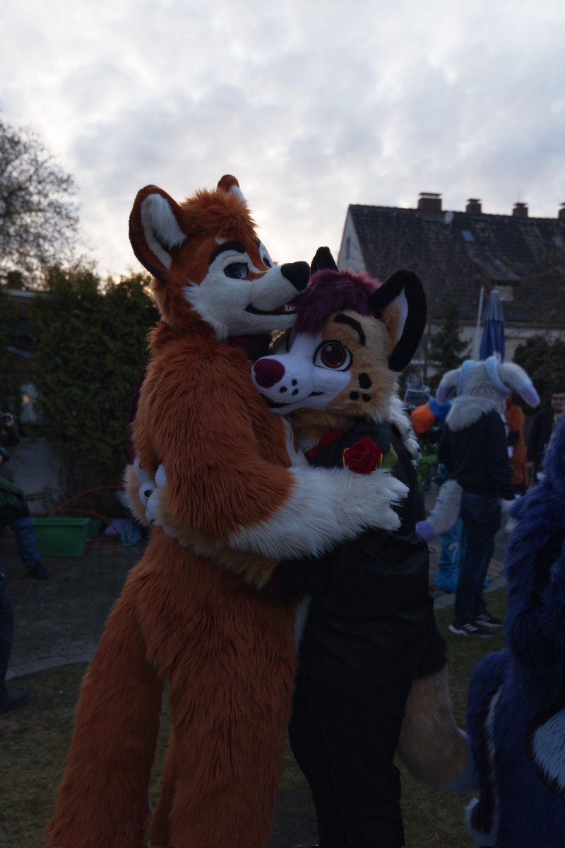 Floeke (@floekewusky) on Twitter photo Was a really nice furmeet last weekend. Lotsa fluff, lotsa huggs!
Here's a pic of me with <a href="/FoxGamer4live/">💚Sparky/Roger❤️</a> brought to you by:
📷: <a href="/pupp_arlo/">pupp_arlo</a>
✂️: <a href="/TheKarelia/">TheKareliaFursuits 🔜 EF29, Furnavia.</a> / @R5suits Was a really nice furmeet last weekend. Lotsa fluff, lotsa huggs!
Here's a pic of me with <a href="/FoxGamer4live/">💚Sparky/Roger❤️</a> brought to you by:
📷: <a href="/pupp_arlo/">pupp_arlo</a>
✂️: <a href="/TheKarelia/">TheKareliaFursuits 🔜 EF29, Furnavia.</a> / @R5suits