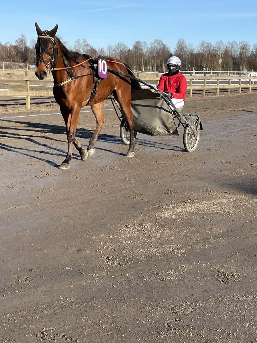Kan Goldstile legge på til 2 strake på Forus i morgen ? Samme motstand som sist 👍💪💪