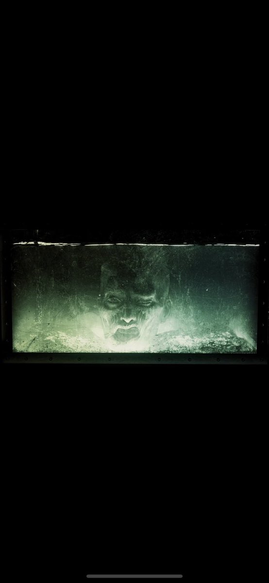 nature2333's tweet photo. @OrangeCometNFT Bless Monday OC… Surviving…Next mission devolution!#Amcwalkingdead #Orangecomet #TWD https://t.co/wBtw5nJzal