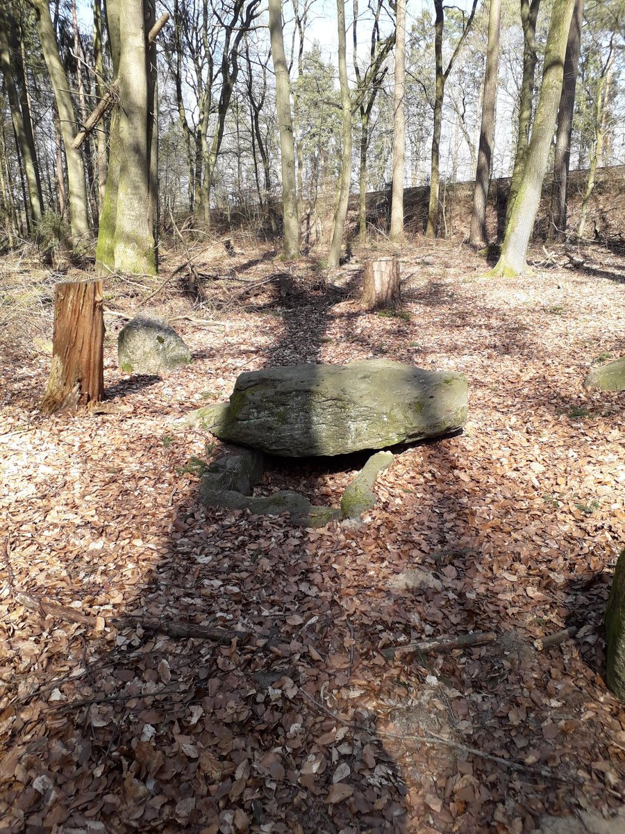 icelandfreundin's tweet photo. Auf #Pirschpfaden im #UelzenerStadtforst: Zwergziegen und #Damwild im #Wildgehege, #Steinkiste, ein bronzezeitliches Grab https://t.co/oBJPd0uumr