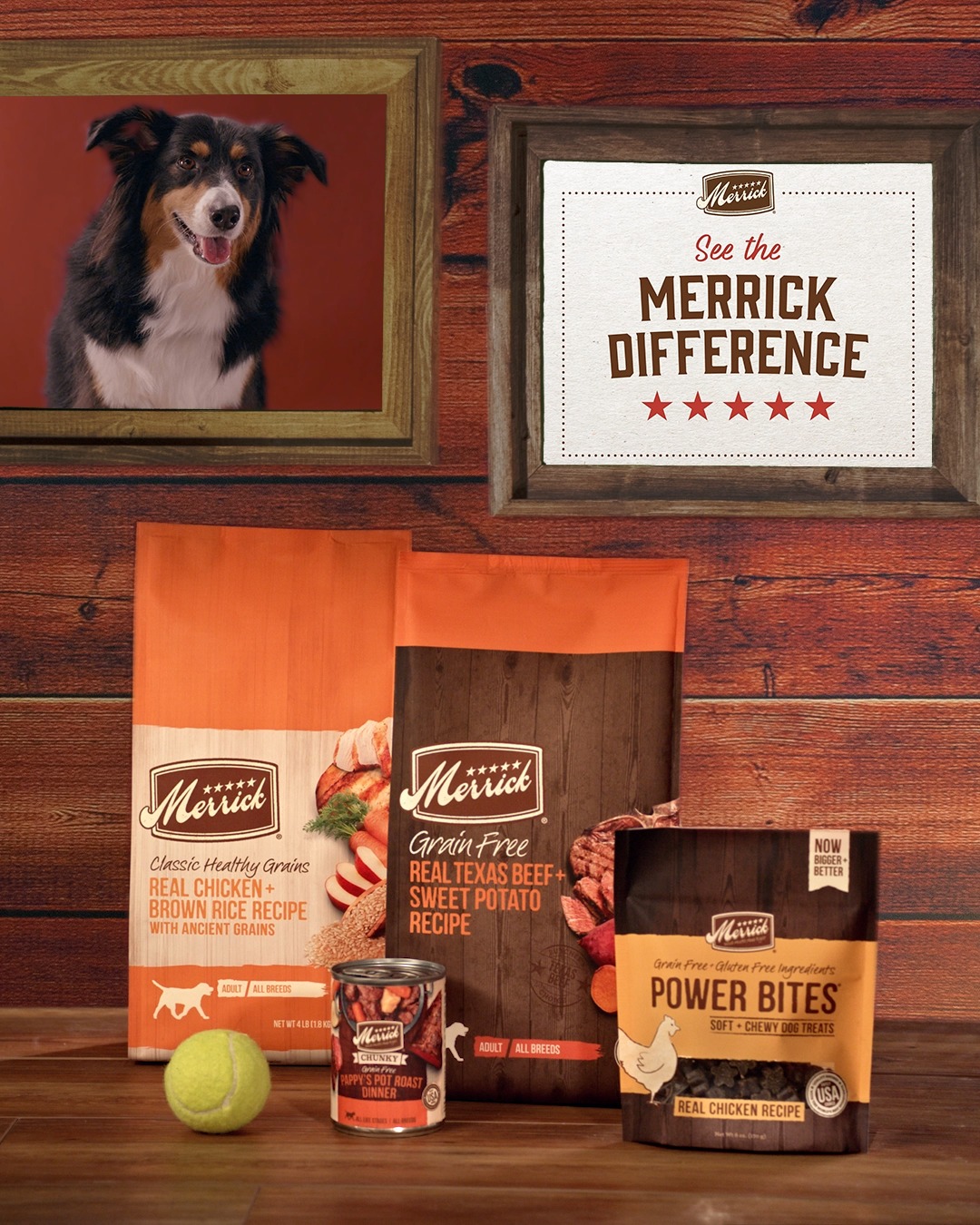 Merrick ancient sales grains dog food