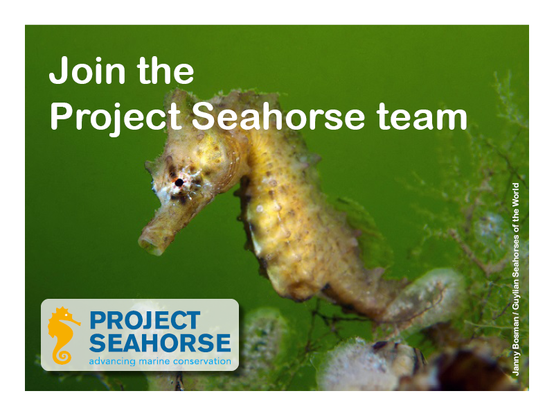 Do you have extensive experience in #WildlifeTrade research &amp; analysis?  Join us to advance research, management &amp; policy  related to TRADE in syngnathid fishes (seahorses, pipefishes and seadragons) &amp; other marine wildlife.  ubc.wd10.myworkdayjobs.com/en-US/ubcstaff… Deadline 20 April 2022.