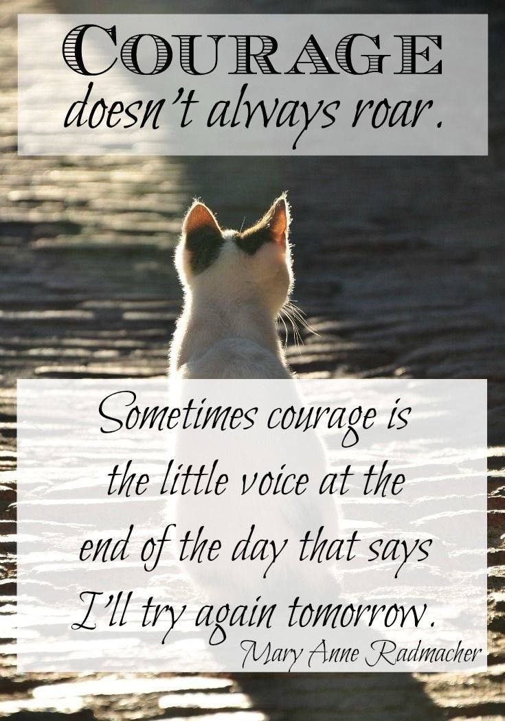 DebbieM48814550's tweet photo. A reminder that courage doesn’t always roar. It can be a quiet and steadfast resolve 💕#pdsl @Leaders_SoE @niamhickey @patriciamannixm https://t.co/poyrERLy1j