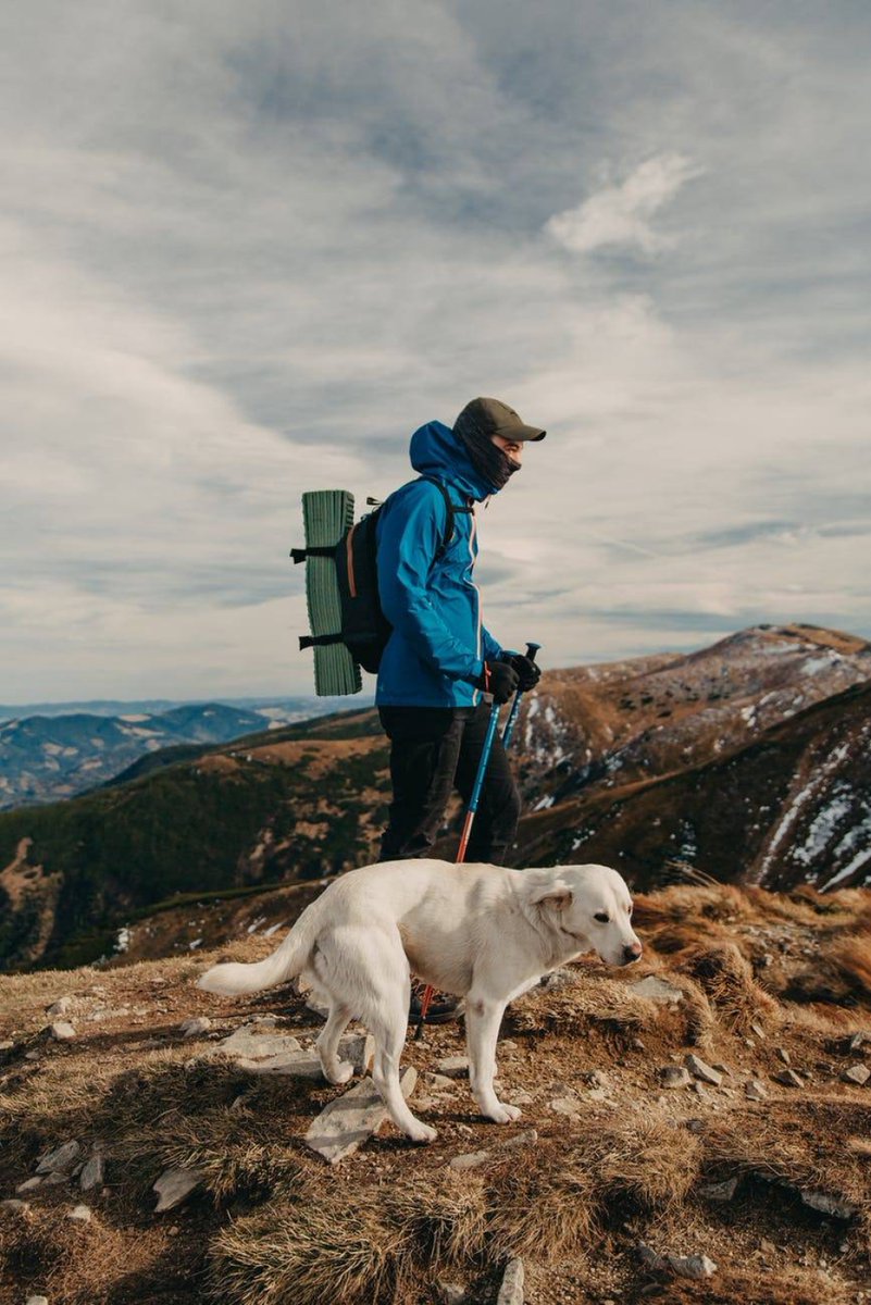 lab_cart's tweet photo. Great, huh?  #Cloud #Sky #Dog #Carnivore #Dogbreed #Mountain #Workinganimal #Landscape #Recreation #SportingGroup https://t.co/7HnzLMN3Qi