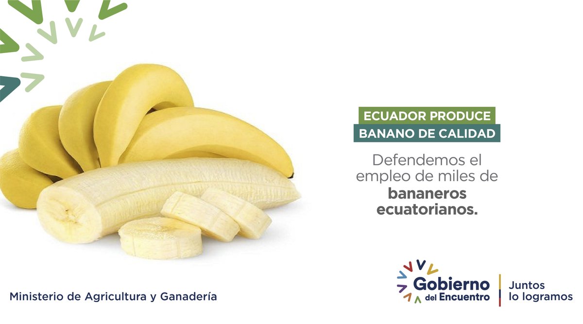 AgriculturaEc's tweet photo. ¡Trabajamos #PorTíBananero!

Para defender el trabajo honesto de los productores de banano, @AgriculturaEc intensificará el control a los exportadores del producto al mercado de Europa Oriental, especialmente de Rusia y Ucrania.

#JuntosLoLogramos https://t.co/MKcaE7ZZBC