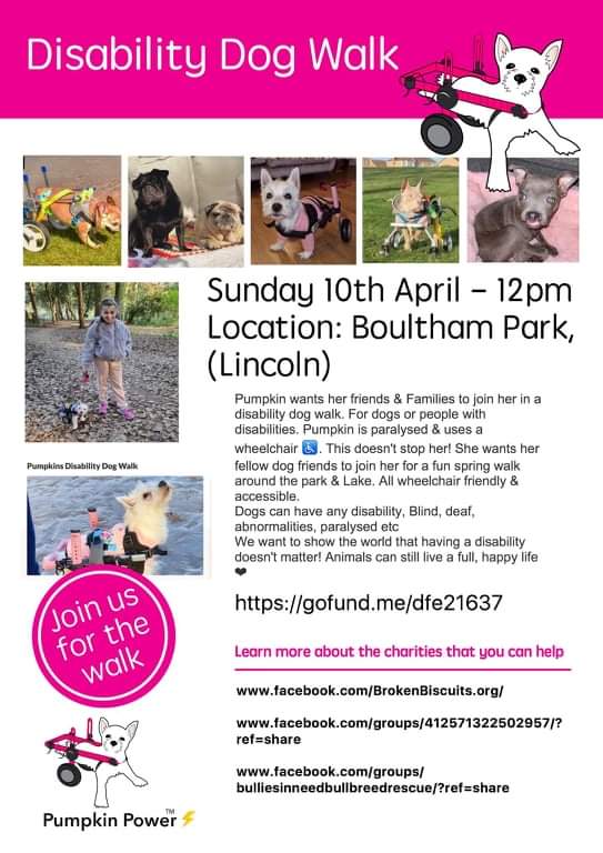 PumpkinPuppy3's tweet photo. @JimbobROCK please retweet the Disability Dog Walk @BoulthamLake April 10th 12-noon  raising awareness of animals with disabilities ♿️🐶❤️ https://t.co/wAj31lqley