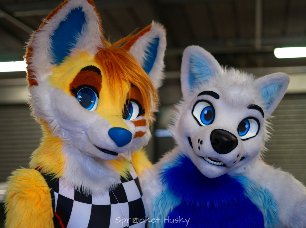 Really cute photo with <a href="/FuzzerFox/">Fuzzer</a> from track day furs ! 

Was the first time for both of us, and we did enjoy yourself a lot ! 

Event is organised by <a href="/XavierFox19/">Xavier Fox</a> !

🧵: <a href="/AlphaDogsStudio/">Alpha Dogs</a> &amp; <a href="/TemplaCreations/">Templa Creations</a> 
📍 : Donington Park
📸: @SprocketHusky