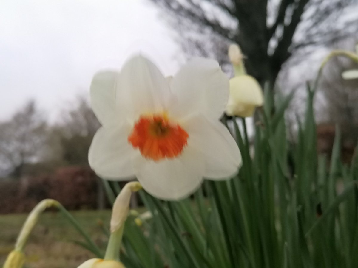 mpetrea7513's tweet photo. Flower power ๐ ๐
#soulfoood
#Naturephography https://t.co/V5pY5Lhxyp