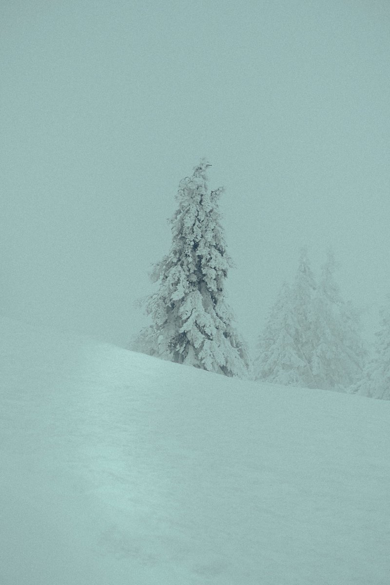 thimo_mit_h's tweet photo. Winter is coming. Again… https://t.co/HciAzp8jbt