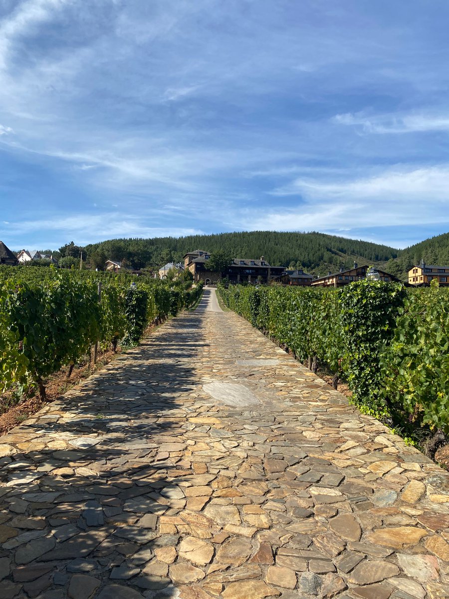 WalkinSpain's tweet photo. Our luxury tours on the Camino aim to ensure you experience the best of Spanish culture. As experienced travelers ourselves, we know what you expect from a high-end tour. https://t.co/Y8fGBsEDDw