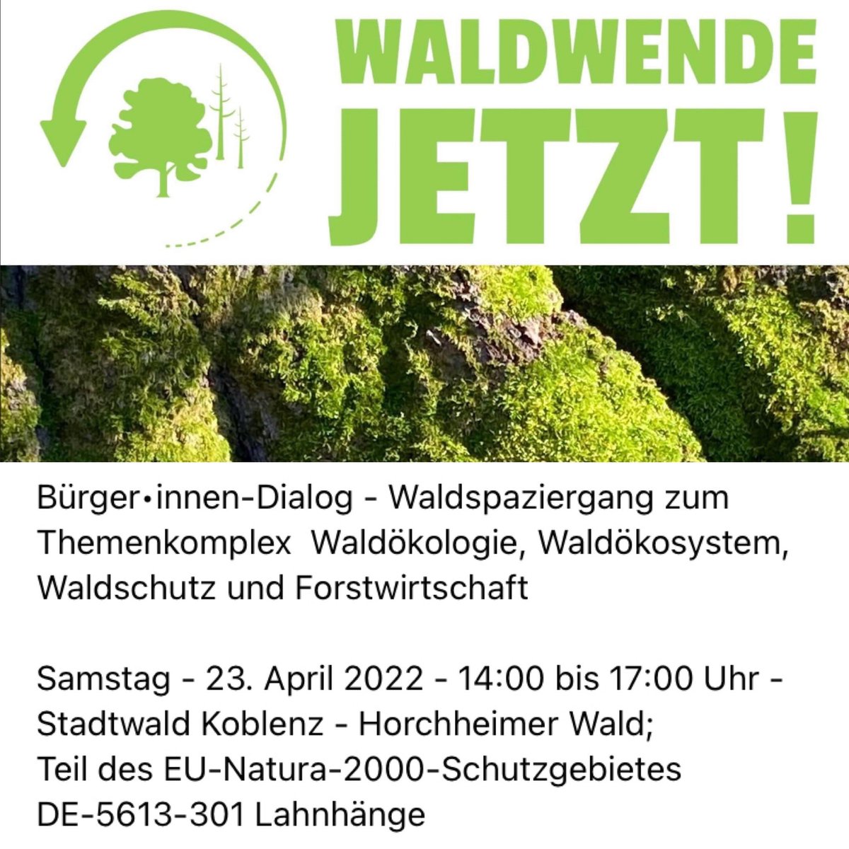 waldwendejetzt's tweet photo. Waldspaziergang - Bürger•innen-Dialog mit der Bürgerinitiative #WaldwendeJetzt • #Mittelrheintal; 23/04/22 14:00 Parkplatz Schmidtenhöhe; Mit Tanja Alten und @Mr_Hoffmann Infos via https://t.co/TdncdRr99E https://t.co/ltvXYqLUSA