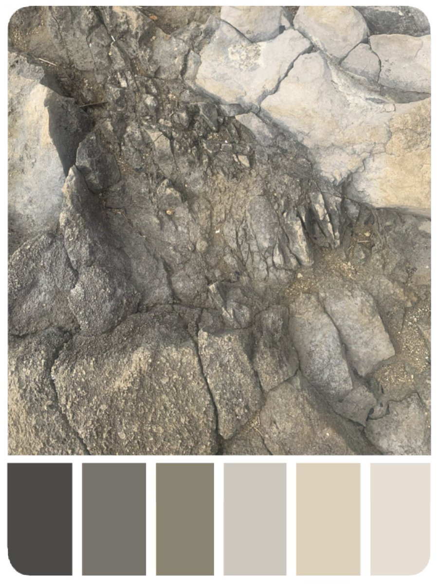 #scenicartistreference #setdresserreference #textureartist  #scenicreference #textures #surfaces #colourpalettes #paintreference #rock
