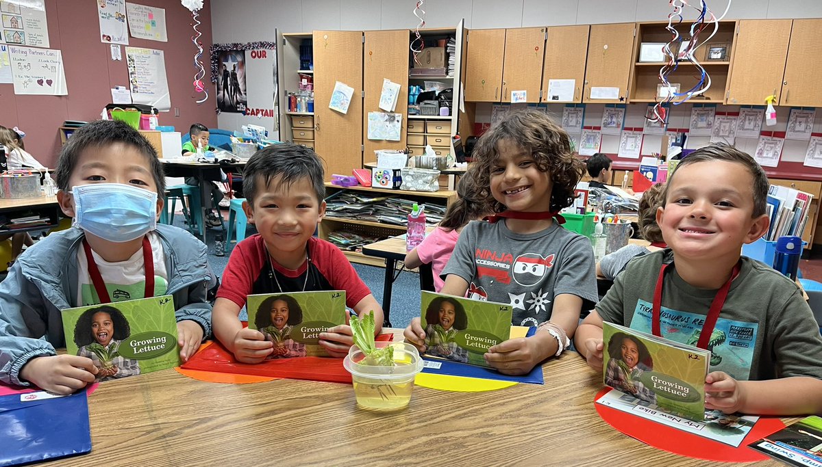 We read about how to grow lettuce and decided to try! <a href="/SampsonElem/">Sampson Elementary</a> #sampsonstrong