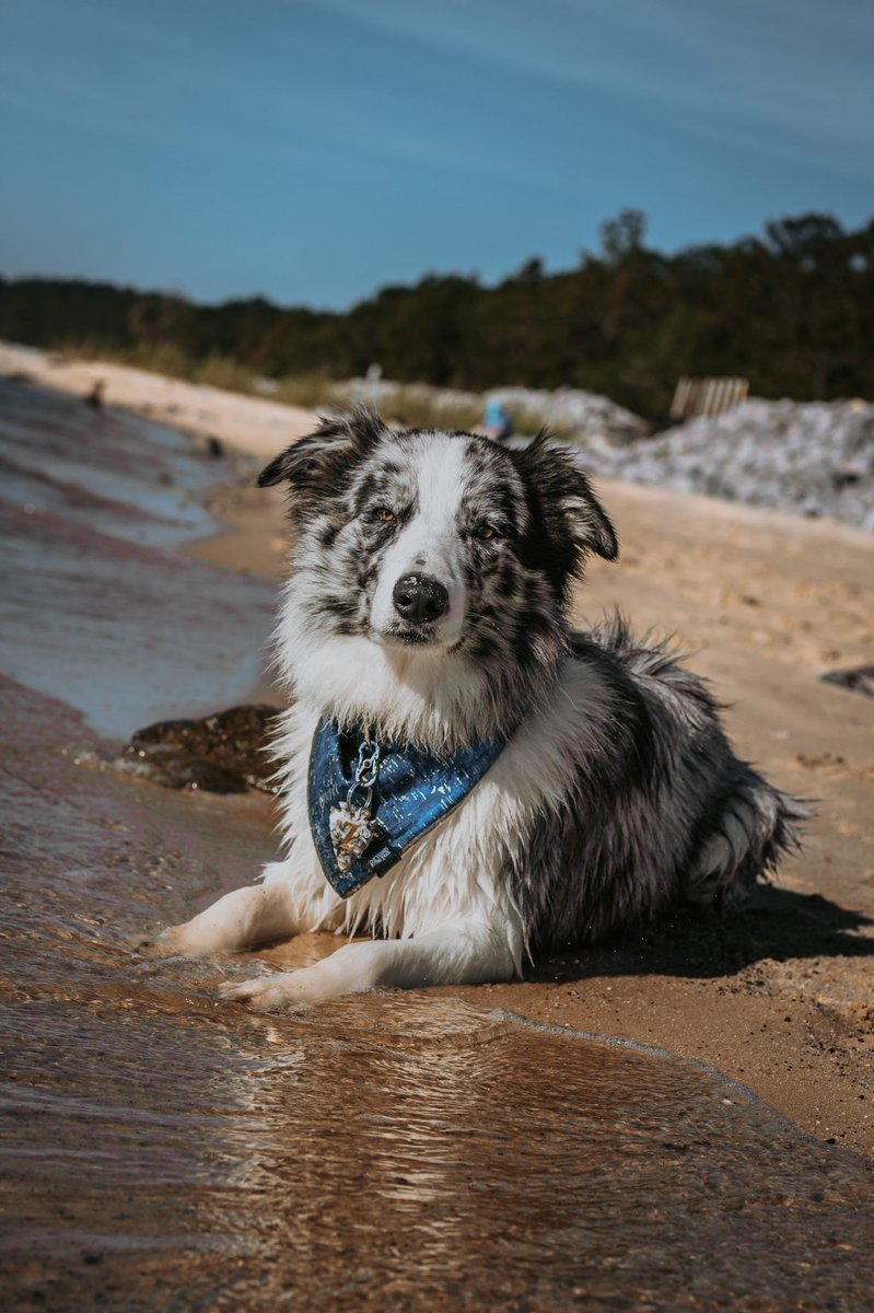 Beyond the Trail | Nicole tweet media