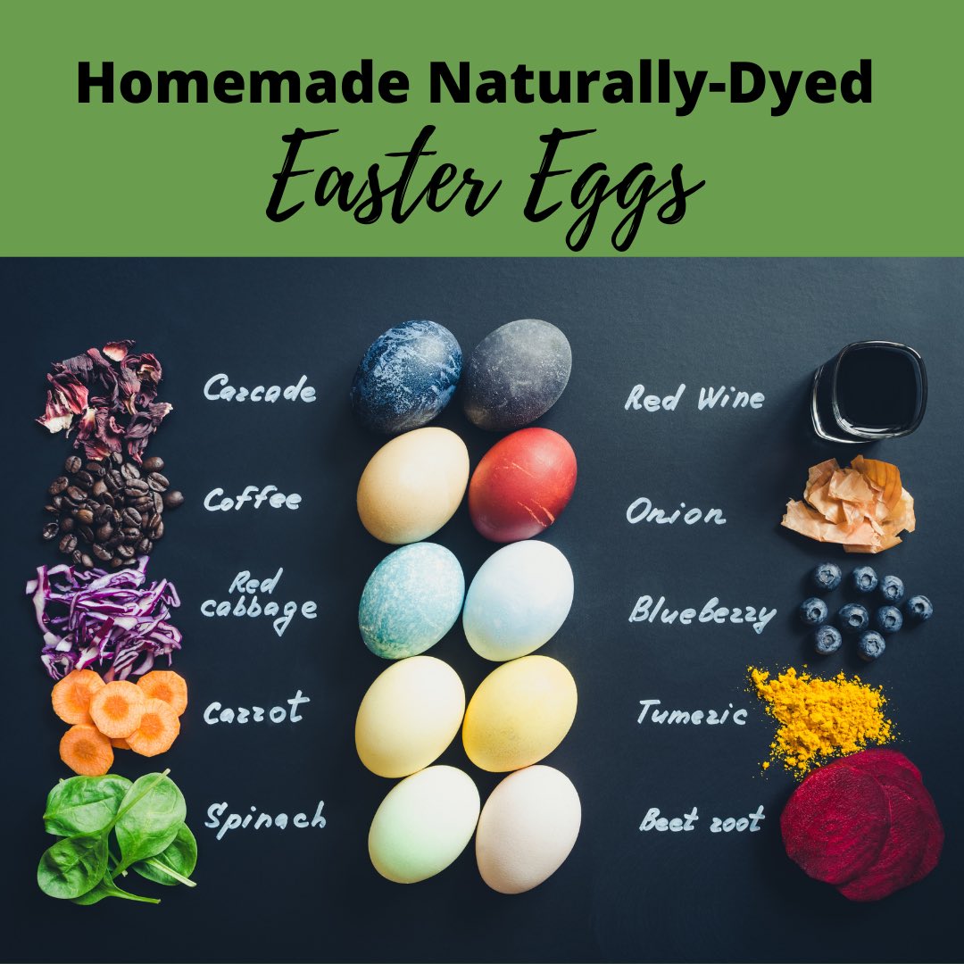 pendulum_planet's tweet image. ✔️it out on the blog! 🥚💚✨ 
pendulumplanet.com/blogs/planetar…