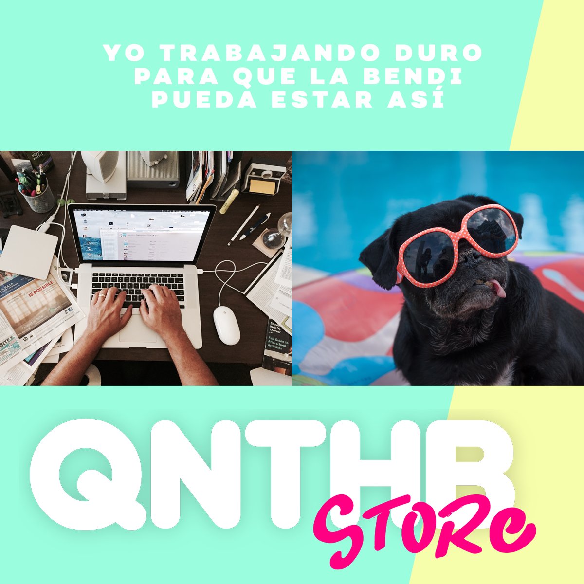 qnthb_'s tweet photo. Porque se merecen solo lo mejor 🐱🐶🐾

Comenta como te gusta consentir a tus bendis y hagamos que cada día sean más felices. 

#michi #peludos #mascotas #dog #cat https://t.co/ipzLecyS55