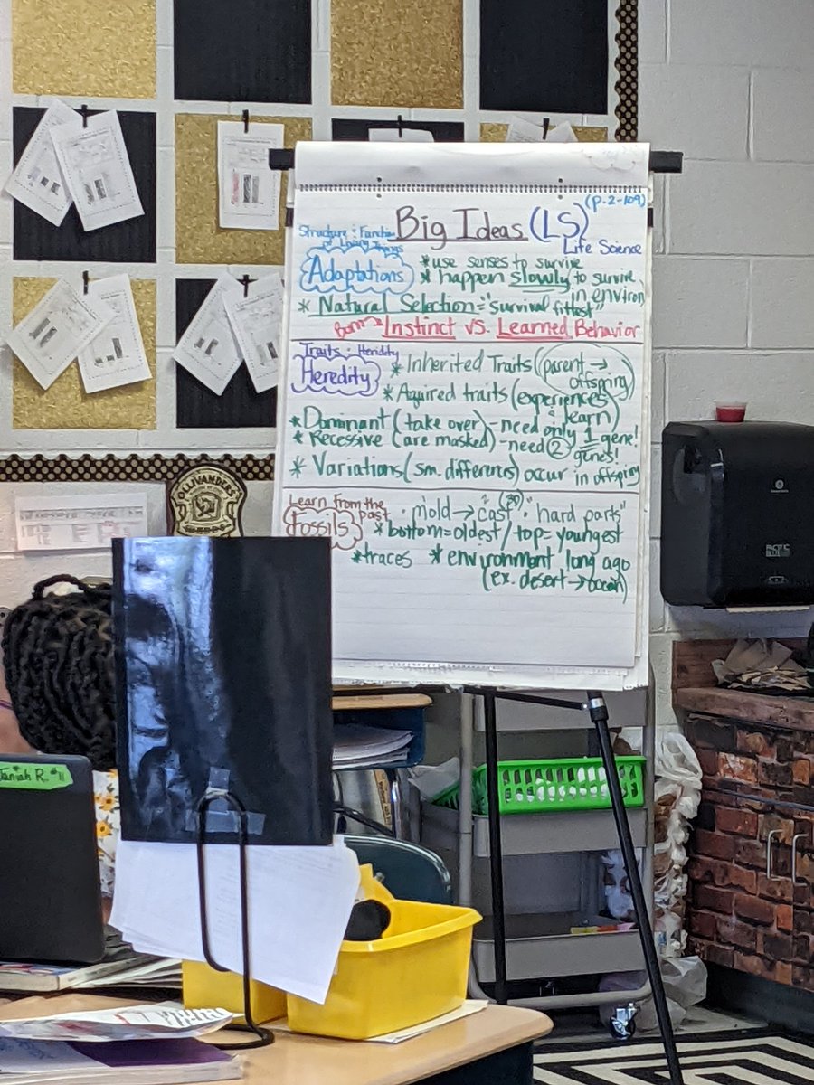 Kate Hall, Ed.D. tweet media