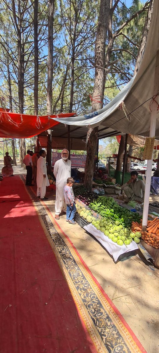 AwaidBhatti's tweet photo. AC Industrial Area inspected the arrangements at Sasta Ramadan Bazaar set up by ICT Administration in Sector G-9/2 Islamabad. Provision of facilities including resting areas, ample parking and prayer section provided for the general visitors @hamzashafqaat @rmwaq https://t.co/tq1O5tkZEz