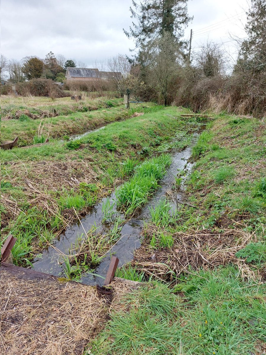 mathers_kate's tweet photo. #UKRIFLF fieldwork phase two - getting stuck in the mud clearing out outdoor flumes @QMUL https://t.co/xEadLIa2dm