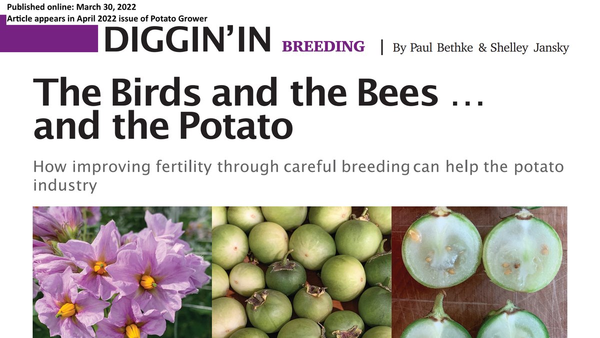 SCRI2xPotato's tweet photo. Potato Grower  - April 2022 (page 25) https://t.co/D9XoYPmPXR https://t.co/rfvIefrckC
