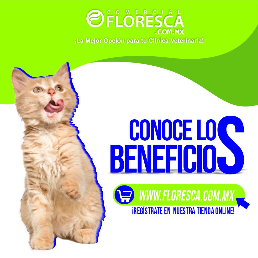 FlorescaOficial's tweet photo. 𝗖𝗼𝗺𝗲𝗿𝗰𝗶𝗮𝗹 𝗙𝗹𝗼𝗿𝗲𝘀𝗰𝗮 tiene las #mejores #marcas de #laboratorios para tu #clínica #veterinaria con los mejores precios
¡Regístrate en nuestra tienda online con precios super exclusivos para MVZ  ---> https://t.co/TII7tF1arT 
¿Dudas? Escríbenos 📲 81 2681 2239 https://t.co/rcoqrw76JK