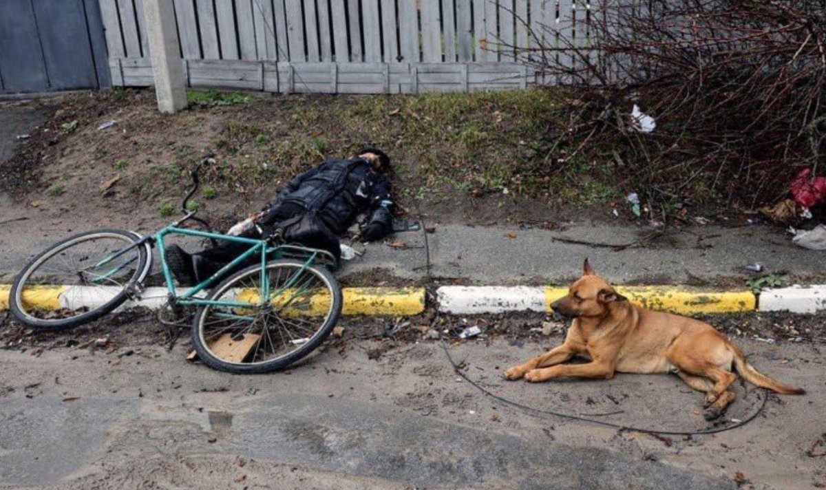 domdyer70's tweet photo. Staying with his companion to the end #Ukraine https://t.co/KjmmX8Du2S