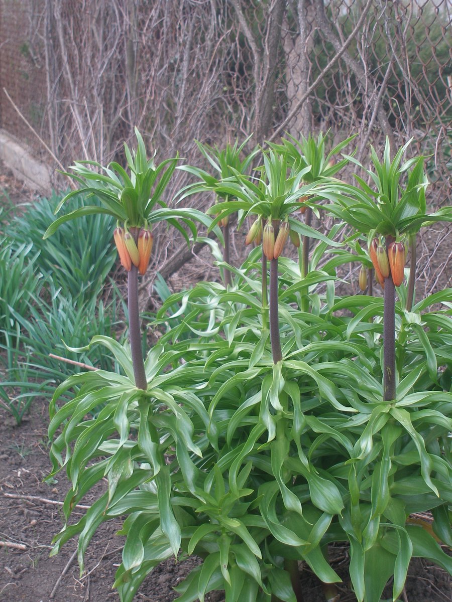 Гарного вечора, спокійної ночі, все буде Україна