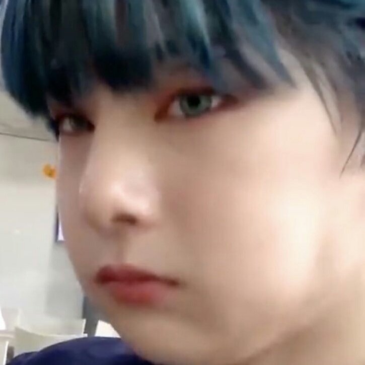 stray kids as cats tweet media