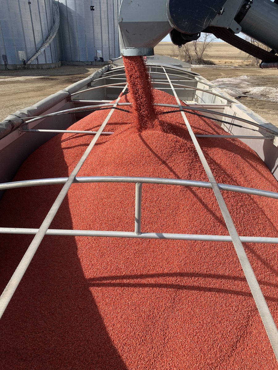 Now it feels like spring time. <a href="/InnovativeAg/">IAP (Innovative Ag)</a> working 24/7 again this year.