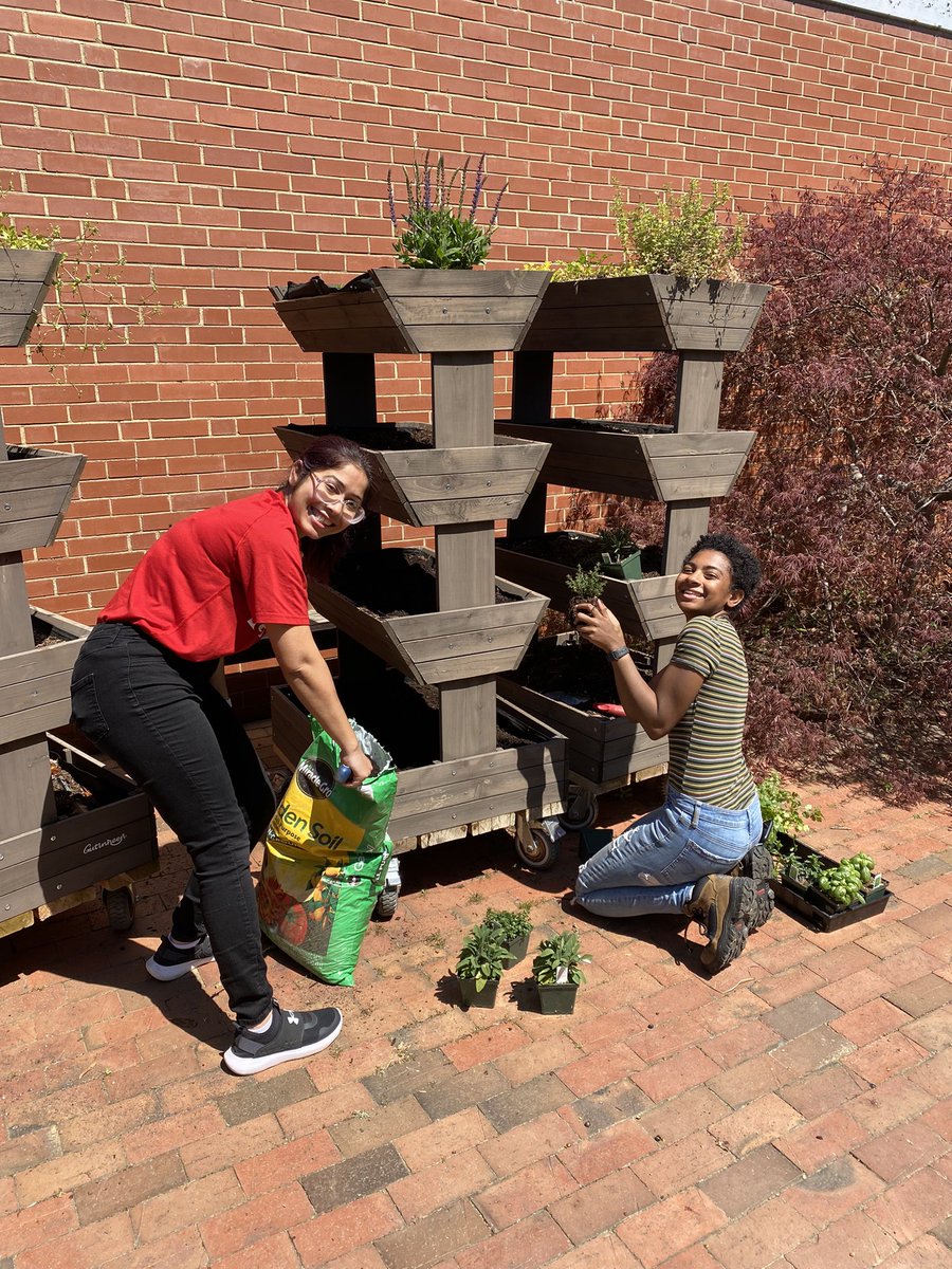 RileyLawson4's tweet photo. We had a great time this afternoon prepping the BAE garden for spring! Look out for herbs, vegetables, and NC-native plants sprouting in the coming weeks! https://t.co/RCETmsVYoi